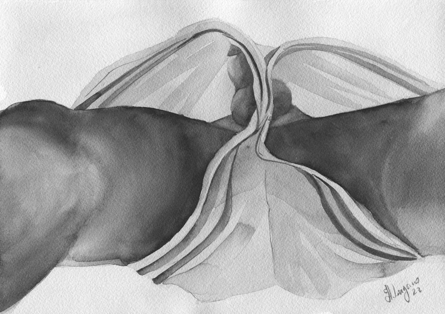 Set of 6 Watercolor Art Prints by Helg Lugano – Limited Edition, Signed & Numbered – Direct from the Artist